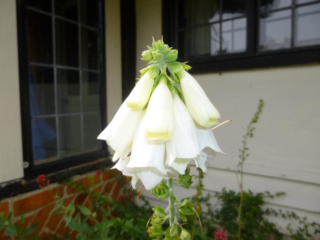 Church Hall Farm Bed And Breakfast Broxted Δωμάτιο φωτογραφία