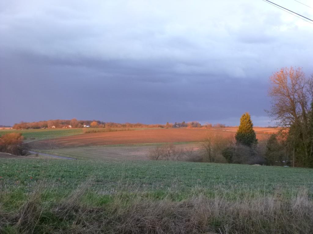 Church Hall Farm Bed And Breakfast Broxted Δωμάτιο φωτογραφία