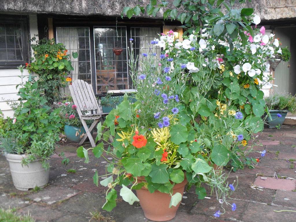 Church Hall Farm Bed And Breakfast Broxted Εξωτερικό φωτογραφία